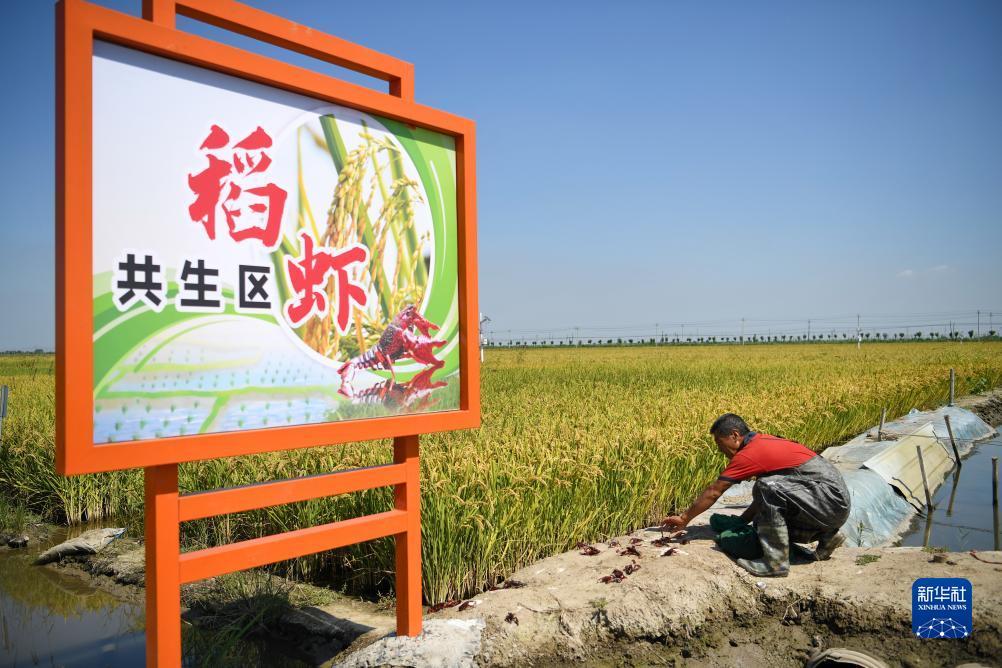 乐发lefa 888国际